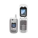 Motorola V975
