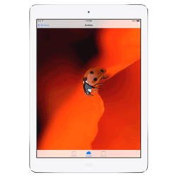 Device image